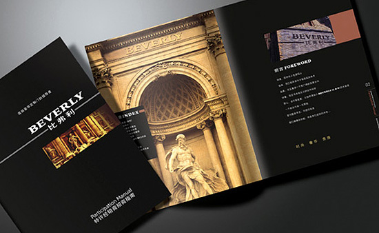 BEVERLY�ȸ���VI���