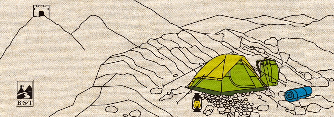 BST�ٴ���VI���