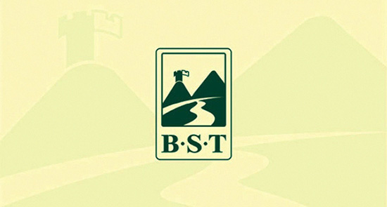 BST�ٴ���VI���