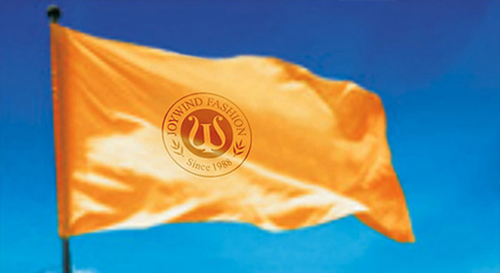 ���ַ����VI���