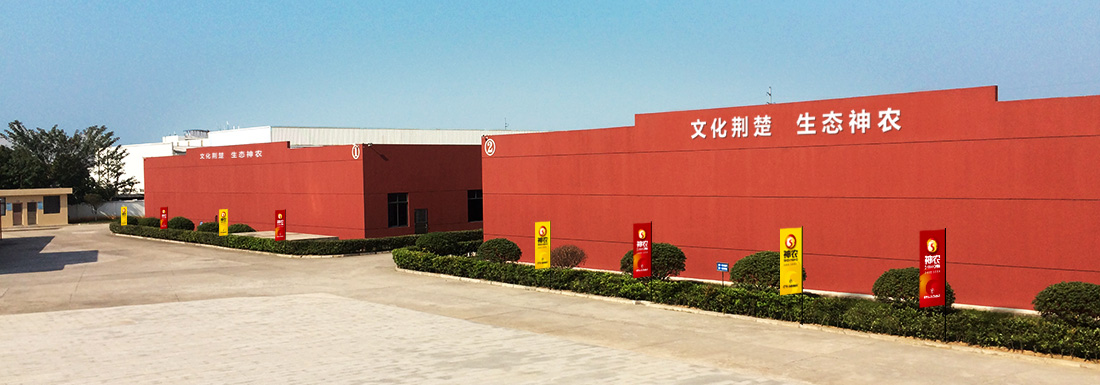 ������ũʳƷVI���/Ʒ�ƹ滮���