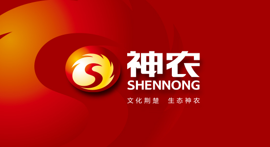 ������ũʳƷVI���/Ʒ�ƹ滮���