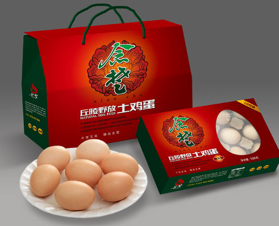 ������ũʳƷVI���/Ʒ�ƹ滮���