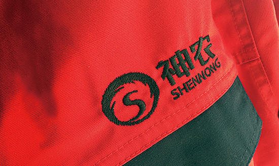 ������ũʳƷVI���/Ʒ�ƹ滮���