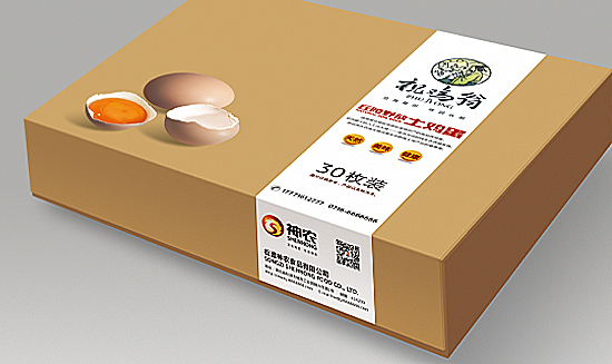 ������ũʳƷVI���/Ʒ�ƹ滮���